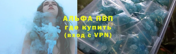 дживик Касимов