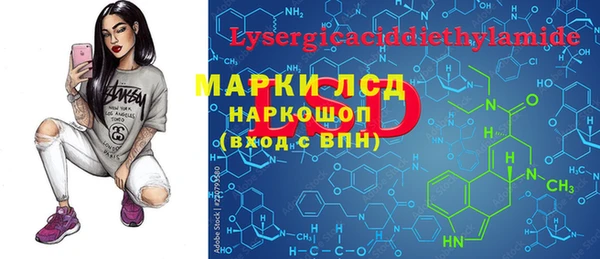 дживик Касимов